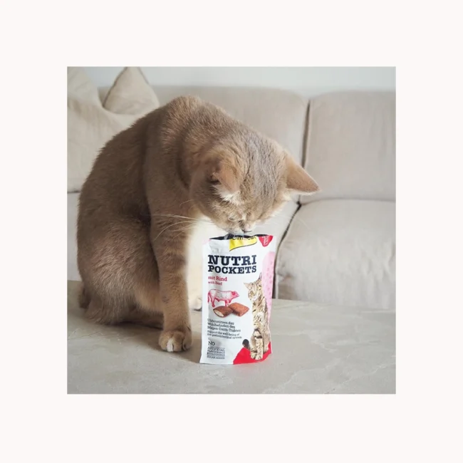 GimCat Nutri Pockets Kedi Ödülü Biftek Malt 60 Gram