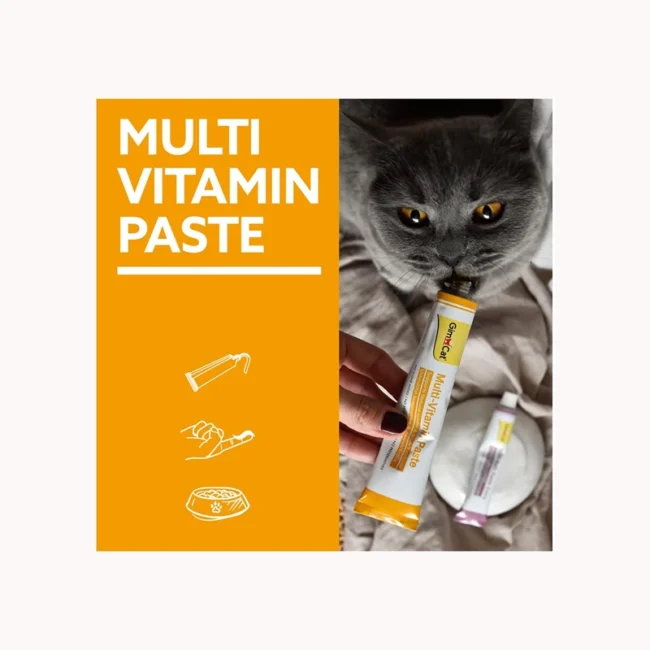 GimCat Multi Vitamin Paste İmmun Booster Complex