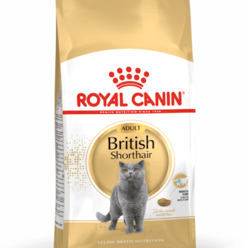 Royal Canin British Shorthair 2 kg Yetişkin Kedi Maması