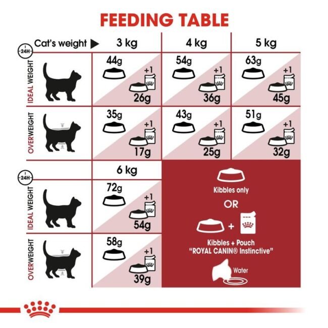 Royal Canin Fit 32 4 kg Yetişkin Kuru Kedi Maması OLG Pets Store