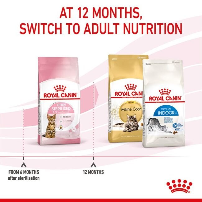 Royal Canin Kitten Sterilised 3.5 kg Yavru Kedi Maması