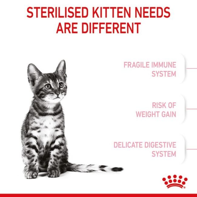 Royal Canin Kitten Sterilised 3.5 kg Yavru Kedi Maması