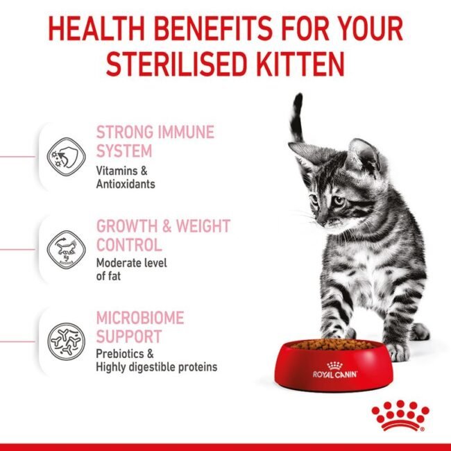 Royal Canin Kitten Sterilised 3.5 kg Yavru Kedi Maması