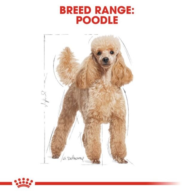 Royal Canin Poodle Yetişkin Köpek Maması 3kg OLG Pets Store